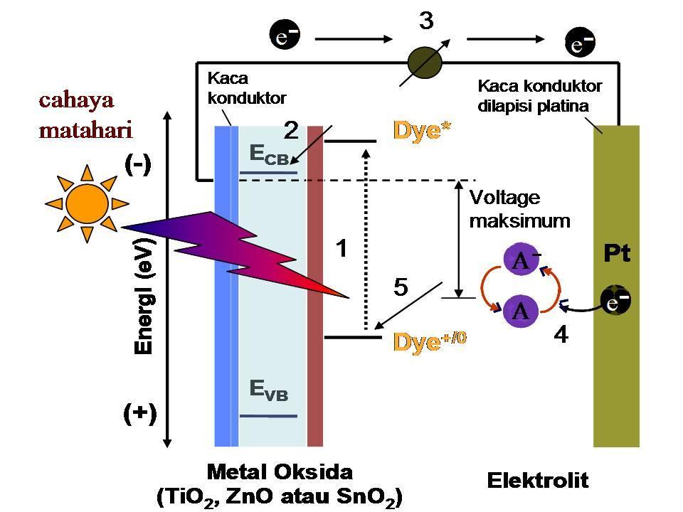mengkaji untuk jenis sel surya fotoelektrokimia.
