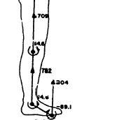joint(sambungan). Link mewakili segmen tubuh dan joint menggambarkan sendi sebagai penghubung tiap segmen tubuh. Menurut Chaffin dkk. (999), tubuh manusia terdiri dari enam link, sebagai berikut:.