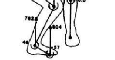 (999), anthropometri merupakan ilmu yang berhubungan dengan pengukuran massa, bentuk, ukuran dan inersial tubuh manusia.