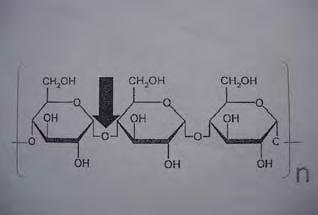 Antara molekul amilosa yang berdekatan atau bagian luar cabang amilopektin dapat mengadakan hubungan paralel melalui ikatan hidrogen membentuk daerah kristal atau misel.
