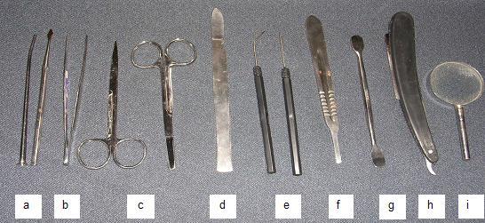 Gb. 1.4. Alat-alat bedah yang biasa digunakan di laboratorium Alat bedah yang biasa digunakan dalam praktikum sains, umumnya terdiri dari beberapa alat pokok yang terdiri atas: a. Sonde, f.
