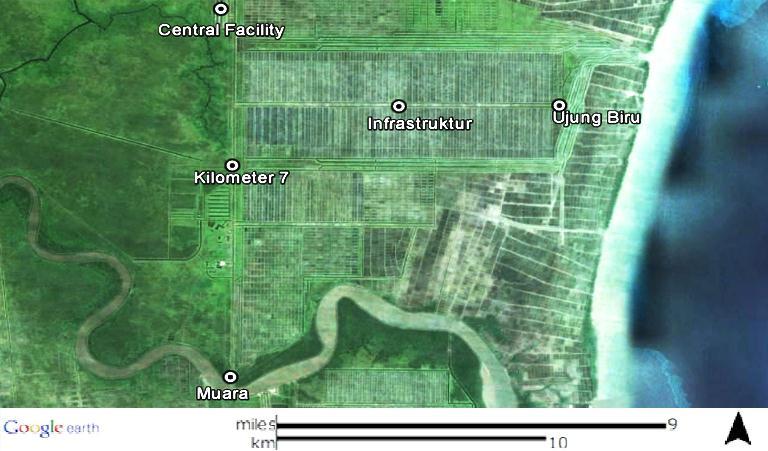 20 Lokasi penelitian di areal PT. Wachyuni Mandira (WM) dibagi menjadi lima lokasi, yaitu Areal Infrastruktur (4 2'57.15"S; 105 47'33.60"E), Muara (4 8'21.77"S; 105 44'30.41"E), Kilometer 7 (4 4'19.