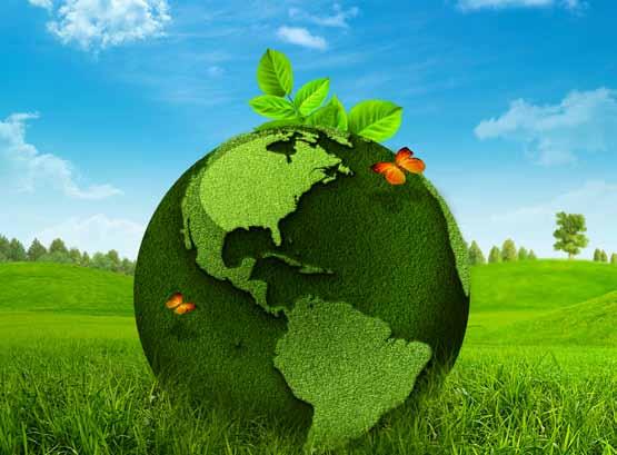 Perum Perumnas memiliki kesadaran yang tinggi untuk memperhatikan kelestarian lingkungan hidup sebagai salah satu fokus CSR Perusahaan.