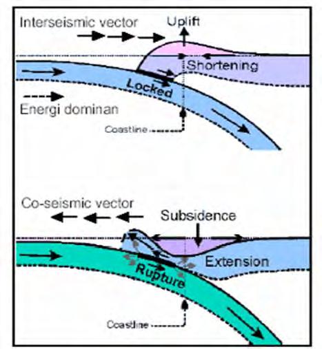Gambar 1 Ilustrasi co-seismic deformation dimulai dari fase interseismic dimana energi terakumulasi akibat