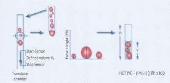 18 rasio sel darah merah terhadap volume total darah. Kadar hematokrit didapat dari perbandingan antara volume eritrosit dengan volume darah keseluruhan dinyatakan dalam %. Gambar 4.