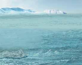10 K e l e n y A P A n A I S Kehidupan di atas ais Kawasan kutub bumi adalah habitat bagi banyak haiwan darat dan laut.