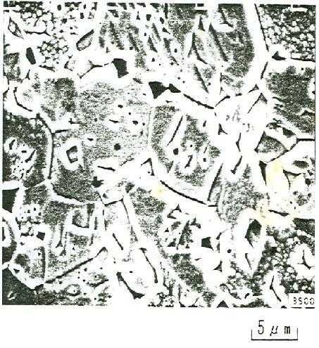 Urania Vol. 14 No. 4, Oktober 2008 : 161-233 ISSN 0852-4777 (a 3 ) (b 3 ) Gambar 2. Mikrograf SEM pelet sinter yang menggunakan : a. Serbuk ADU (a 1. T=1450 o C, a 2. T= 1750 o C, a 3.