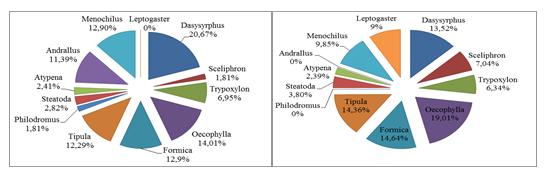 Data pada Tabel 3. kemudian diubah menjadi persentase untuk mengetahui ketertarikan Arthropoda Predator berdasarkan frekuensi kunjungan pada tumbuhan gulma Amaranthus sp. dan Galinsoga parviflora Cav.