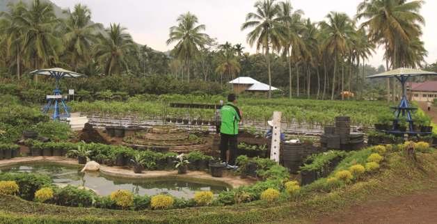 Taman Teknologi Pertanian Guguak, Kabupaten Limapuluh Kota-Sumatera Barat. dari bahan pakan lokal. Pada pertanian bioindustri, kebijakan pengembangan bioenergi didasarkan pada konsep biorefenery.