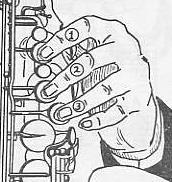 posisi jari telunjuk, jari tengah dan jari manis tangan kiri maupun kanan disesuaikan tepat pada permukaan katup nada dalam membentuk setengah melingkar.