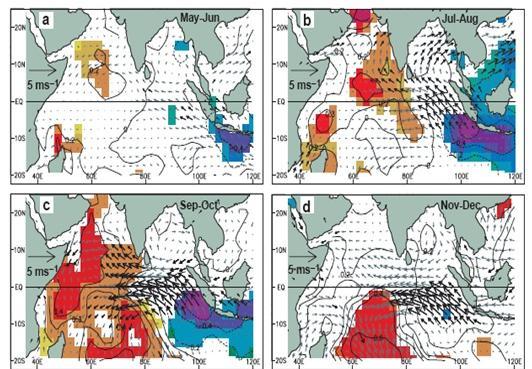 23 Gambar 5. Pola perkembangan IODM (Saji et al., 1999) Karakter IODM adalah adanya kondisi SPL yang berlawanan pada kedua sisi Samudera Hindia.