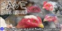 Sosialisai potensi ayam lokal telah dilakukan dengan memberikan penjelasan tentang keunikan karakteristik jenis ayam lokal Indonesia dan manfaat