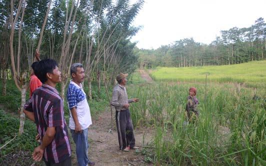 26 Diskusi penguatan organik bersama Kepala Desa Aunupe, Bapak Lukman. Foto oleh: World Agroforestry Centre (ICRAF) cara memanfaatkan potensi yang ada serta mendaur ulang sampah kebunnya.