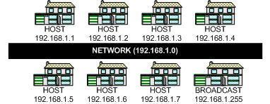 Kelas IP Address Setiap IP address selalu merupakan sebuah pasangan dari network-id (identitas jaringan) dan host-id (identitas host dalam jaringan tersebut).
