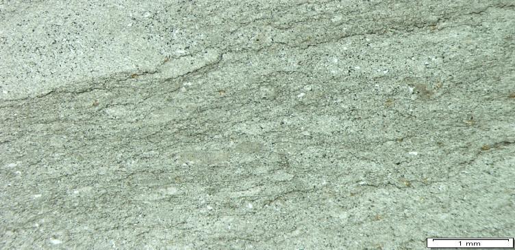 Deskripsi Paleontologi Berbagai jenis fosil dalam batugamping Formasi Parigi teramati secara megaskopis di lapangan seperti koral, moluska, ganggang, echinoid dan foraminifera.