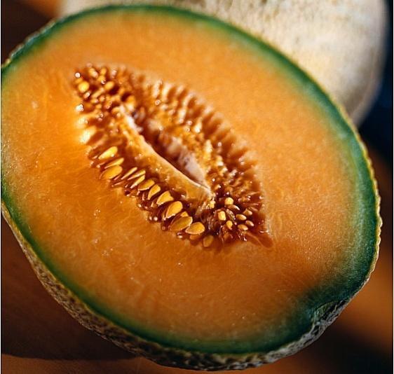 BAB II TINJAUAN PUSTAKA A. Melon Tanaman melon berasal dari daerah Mediterania yang merupakan perbatasan antara Asia Barat dengan Eropa dan Afrika, secara khusus berasal dari lembah Persia (Syria).