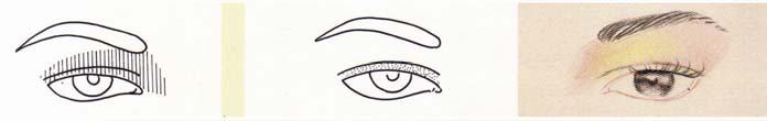 Koreksi mata dengan sudut ke bawah (menurun). f. Mata Cekung Aplikasikan perona mata warna terang pada kelopak mata.