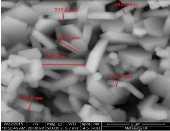 Partikel 487,1 nm 221,0 nm 219,1 nm 203,6 nm 193,5 nm 162,2 nm Hasil karakterisasi morfologi dari sampel magnet nano barium heksaferit pada Gambar 3 juga