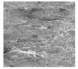 Beach Marks umumnya terlihat pada kerusakan lelah yang diakibatkan oleh beban dinamik (pembebanan berulang), seperti pada gambar 2c. c a Gambar 2.
