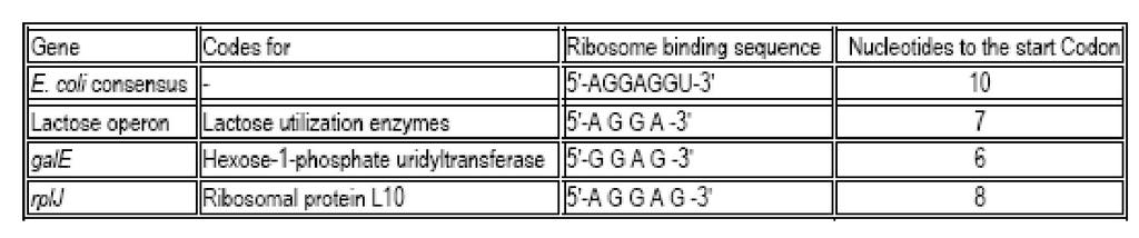 Tabel 2. Contoh Ribosom Binding Sequence pada Escherichia coli.