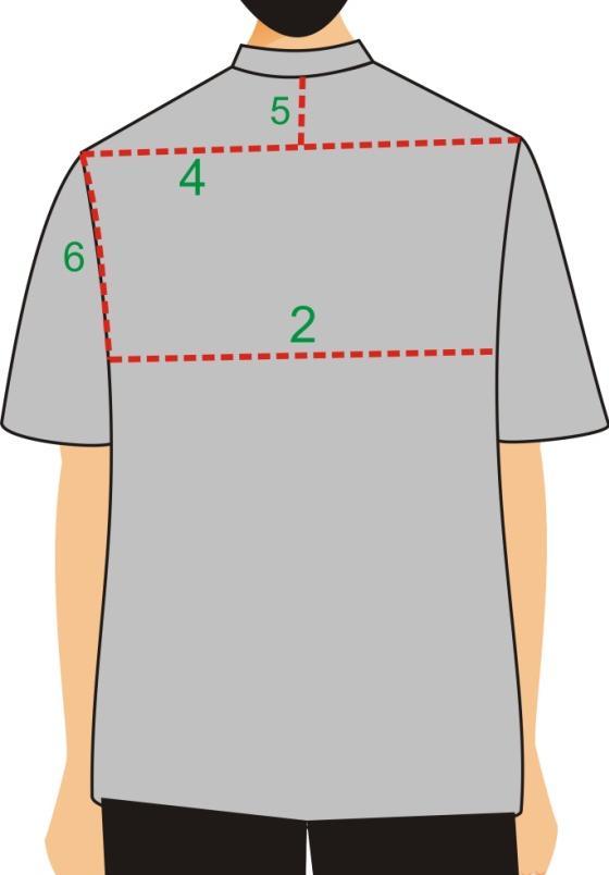 Lingkar leher : Diukur sekeliling leher terbesar dengan posisi pita ukur tegak pada lekukan leger. 4.