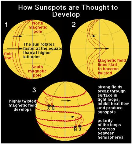 Gambar 1. Mekanisme terbentuknya Sunspot Sumber: http://www.windows.ucar.edu/tour/link=/sun/atmosphere/sunspot_magnetism.