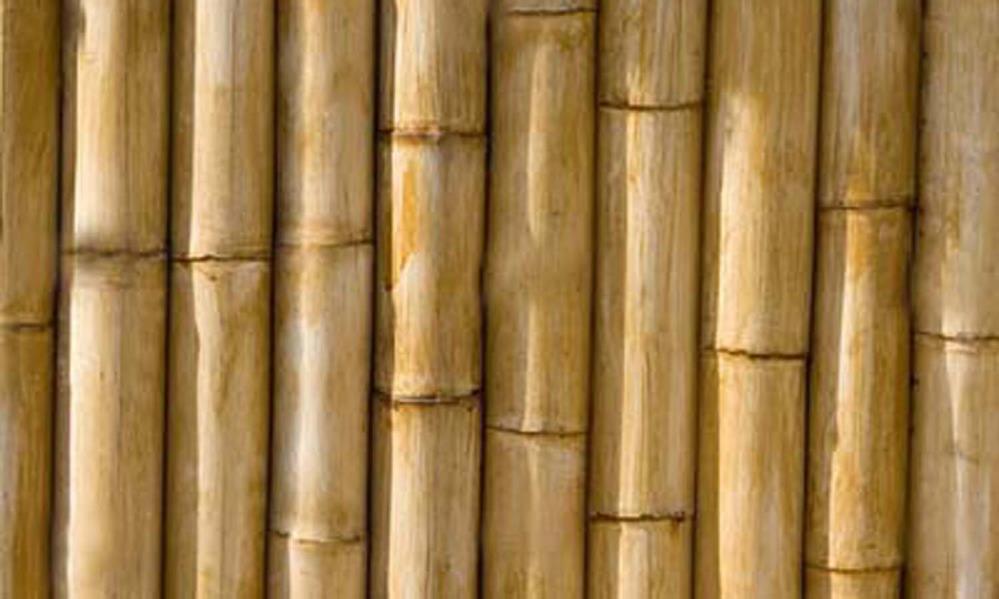 Gambar 1.8 Bambu (Sumber: www.google.com bahan alam) b.