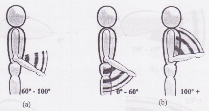 flexion, (d) postur 90 o atau lebih flexion Tabel 5.