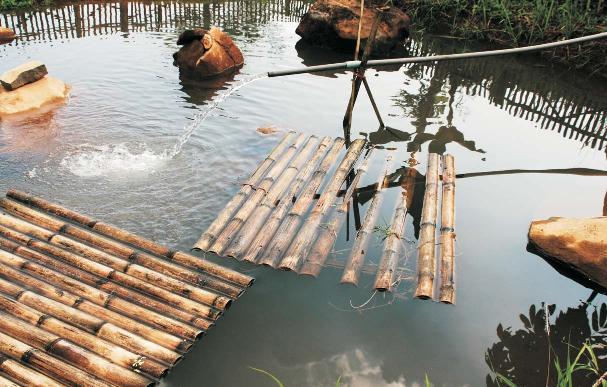 Kami juga membuat nursery untuk bermacammacam jenis bambu ini Kata Dian, fasilitator WPL yang hari itu mendampingi ke lapangan. Kami juga membuat kolam tampung air.