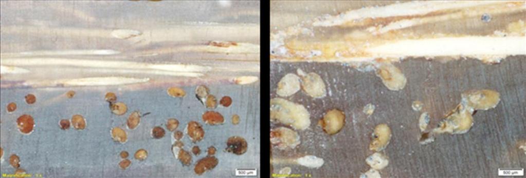 65 Dari hasil foto mikro material komposit serat sabut kelapa anyam di atas bisa dilihat bahwa pada beberapa spesimen uji masih ada beberapa void.