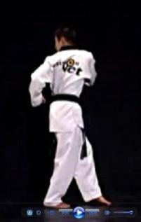 Taekwondo Revolution