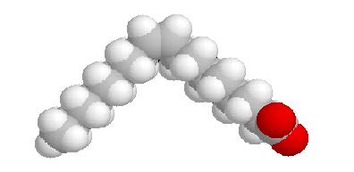 Lipid mempunyai kelas-kelas, salah satunya adalah asam lemak, komponen unit pembangun pada kebanyakan lipida.