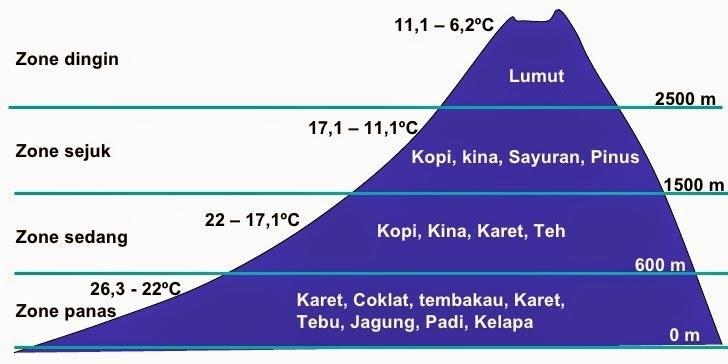 b. Iklim Junghuhn Yunghuhn membuat klasifikasi iklim di Pulau Jawa berdasarkan ketinggian tempat di atas permukaan laut berikut jenis tumbuhan yang sesuai tumbuh pada masing-masing ketinggian.