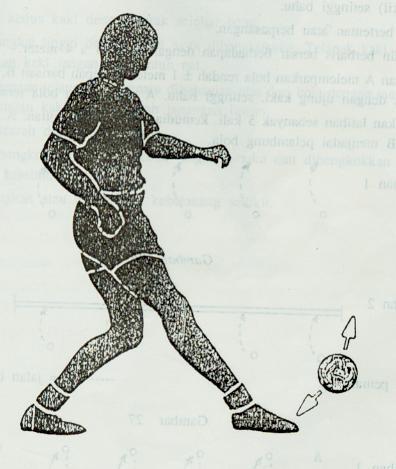 18 3. Bola disentuh dengan bagian atas ujung kaki sepak pada bagian bawah dari bola, sedangkan kaki tumpu ditekuk sedikit pada lutut dan badan dicondongkan atau dikedikkan sedikit ke belakang. 4.