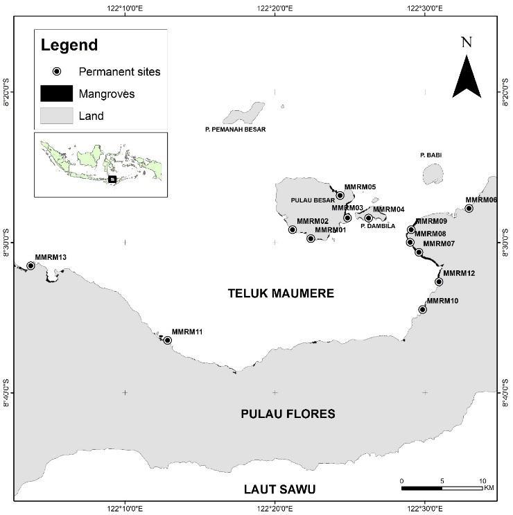 Tabel 4. Posisi geografis dan tipe substrat stasiun permanen pemantauan mangrove di wilayah KKPD Kabupaten Sikka.