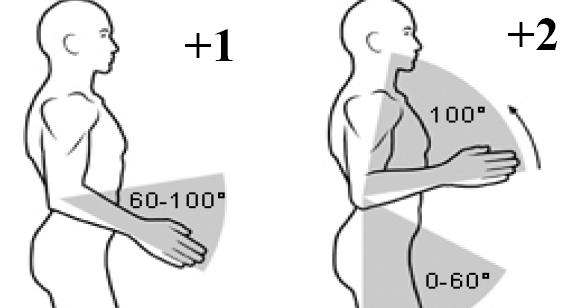 b. Lengan bawah (lower arm) Gambar 2.13. Postur Lengan Bawah REBA Tabel 2.6.