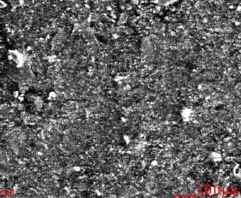 Gambar 9. Grafik Morfologi Bahan Katalis Sebelum Pengujian Dari gambar 9 dapat dilihat hasil Pengujian SEM-EDX dengan pembesaran 1000 x; bahwa ukuran partikel dalam plat Tembaga 100 µm.