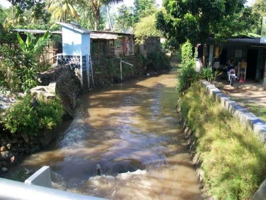 SLHD Provinsi DKI Jakarta Tahun 215 2.4.1.8. Sungai Krukut Titik Pantau Jl. Pondok Labu Konsentrasi TSS semakin ke arah hilir semakin rendah.