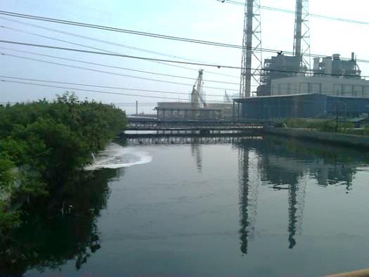 SLHD Provinsi DKI Jakarta Tahun 215 2.4.1.1. Sungai Grogol Titik Pantau PLTU Pluit Konsentrasi TSS pada sungai Grogol berfluktuasi.