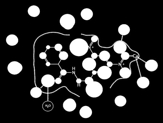 Visualisasi 2D senyawa N'-(3,5- dengan reseptor INHA (2H7I) Gambar 3. Visualisasi 2D senyawa N'-(3,5- dengan reseptor INHA (2H7L) Gambar 4.