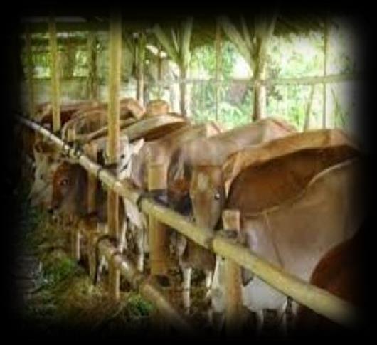 Gambaran Umum Usaha Pertanian di Kota Surakarta Berdasarkan angka sementara hasil pencacahan lengkap Sensus Pertanian 2013, jumlah usaha pertanian di kota Surakarta sebanyak