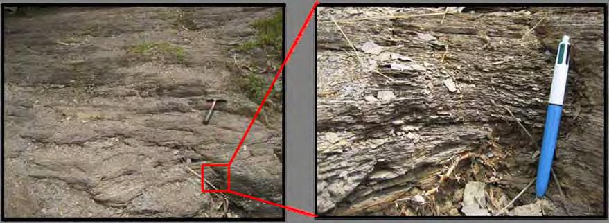 (a) (b) Foto 3.7. Singkapan serpih di lokasi DTR-2 (a) dan kenampakan khas papery shale (b) Foto 3.8.