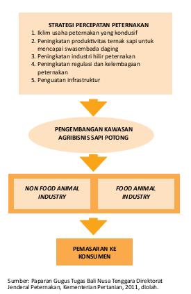 - 231 - Strategi Percepatan Kegiatan Ekonomi Utama Peternakan di Koridor Ekonomi Bali dan Nusa Tenggara 1) Regulasi dan Kebijakan Pelaksanaan strategi pengembangan Kegiatan Ekonomi Utama Peternakan,