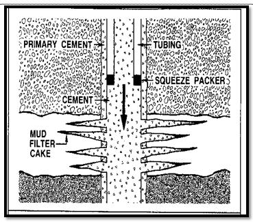 seperti pada (Gambar 5) Gambar 5 Bradenhead Squeezing (Nelson, 1990) Packer Squeeze Teknik penyemenan ini dilakukan dengan cara menggunakan packer yang dapat diambil kembali (retrievable packer) atau