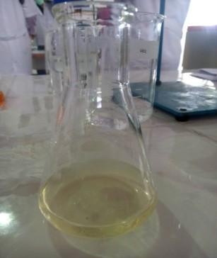 25 ml sampel air gambut ke dalam labu erlenmayer.