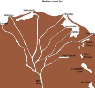 Sedimen Marine Sedimen marine merupakan proses pengendapan yang terjadi di laut. Pengendapan dilaut menhsalikan delta, endapan kapur, dan endapan pasir silicon.