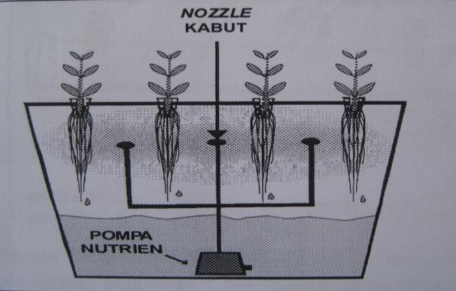 8 tendon. Sistem NFT sangat rentan terhadap kegagalan pompa dan aliran listrik, serta akar tanaman cepat kering jika aliran larutan nutrisi terganggu. Gambar 5 menunjukkan hidroponik sistem NFT. 6.