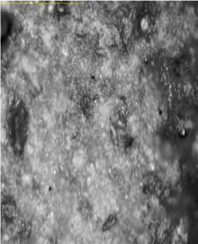 58 morfologi pada sampel 2 yang berkomposisi Abu Vulkanik gunung sinabung 80%, Al 2 O 3 10% dan MgO 10% di sintering pada suhu 1100 C dan 1200 C ditunjukkan pada gambar 4.6 berikut ini.