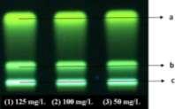 10 deteksi sinar UV (λ 254 nm) juga mengakibatkan terjadinya kenaikan nilai korelasi seperti yang terjadi pada proses smoothing 9 kali.