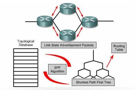 Link State Konsep Link State (2) Fitur fitur link state : LSA (